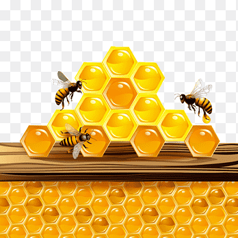 Sunday, August 9th 🐝 Games Toolbox Archive