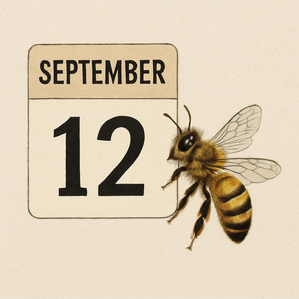 Friday, September 12th 🐝 Games Toolbox Archive